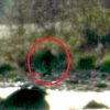 Bigfoot sighting reported in California