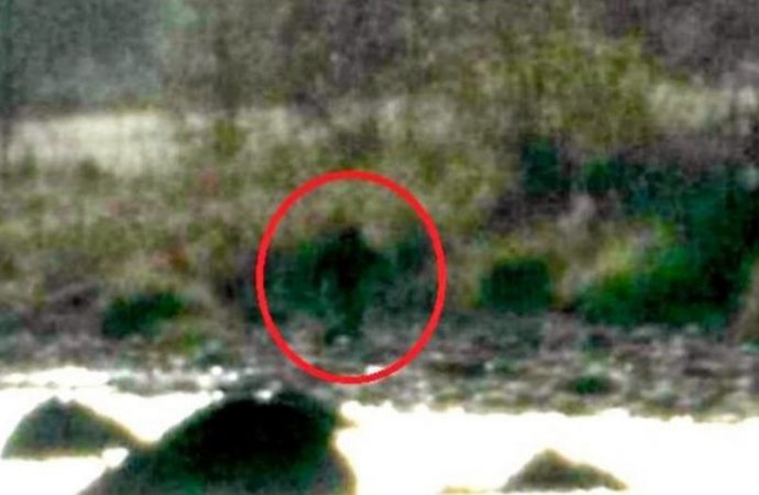 Bigfoot sighting reported in California