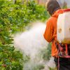 Brain-damaging neurotoxic pesticide found in hundreds of foods: EPA allows pesticide lobby to dictate policy