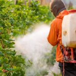 Brain-damaging neurotoxic pesticide found in hundreds of foods: EPA allows pesticide lobby to dictate policy