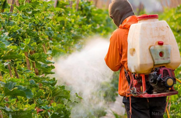 Brain-damaging neurotoxic pesticide found in hundreds of foods: EPA allows pesticide lobby to dictate policy