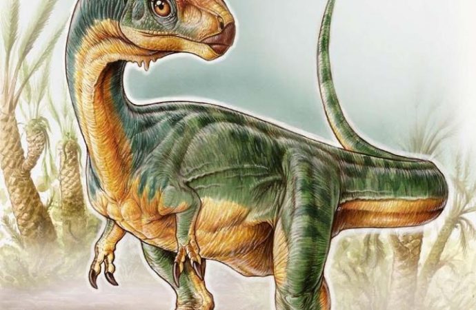 What If the Most Basic Thing We Know About Dinosaurs Is Wrong?