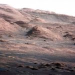 Scientists Find Bugs That Could Indicate There Is Hidden Life On Mars