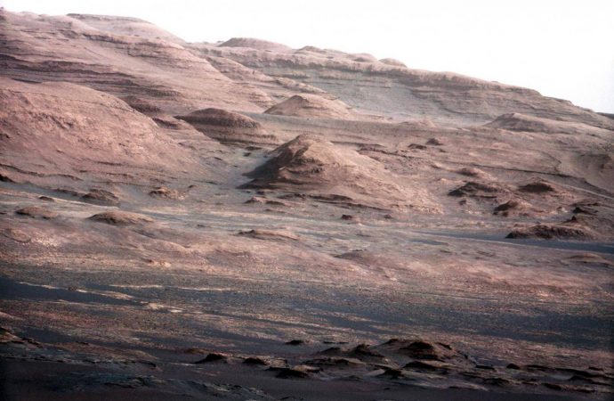 Scientists Find Bugs That Could Indicate There Is Hidden Life On Mars