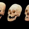 Strange, elongated skulls reveal medieval Bulgarian brides were traded for politics