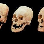 Strange, elongated skulls reveal medieval Bulgarian brides were traded for politics