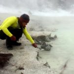 Virus that lives in Yellowstone hot springs described