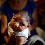 Where Zika Came From