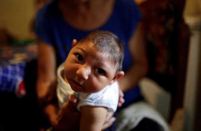 Where Zika Came From