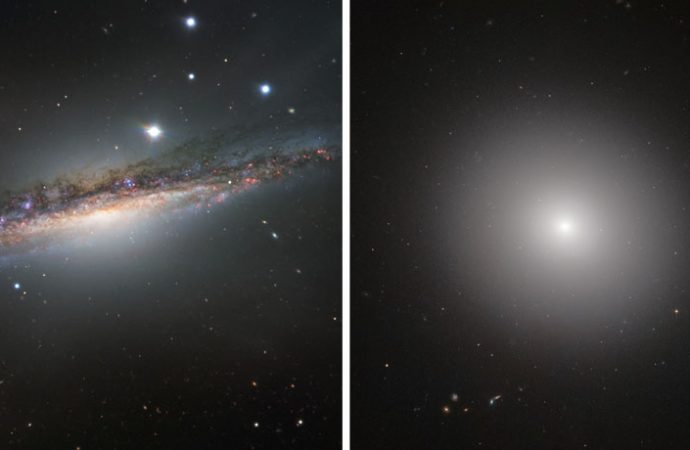 Young galaxies are flat, but old ones are more blobby