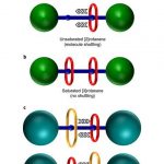 Exchange of rings shows off molecular machine’s clever trick