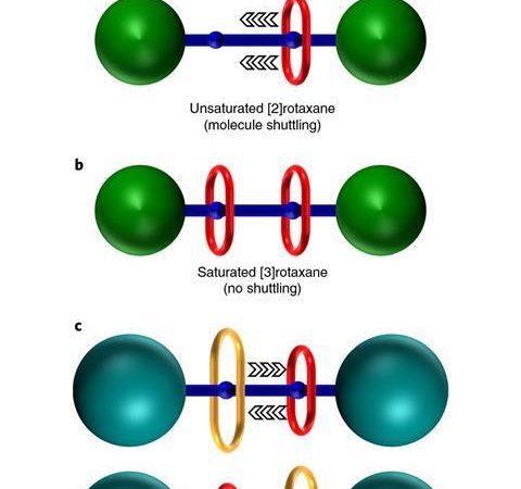 Exchange of rings shows off molecular machine’s clever trick