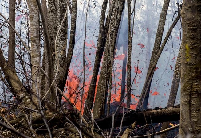 USGS: Hawaii Volcano Could Erupt Explosively