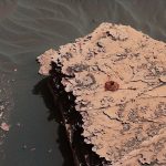 Building Blocks of Life Found on Mars
