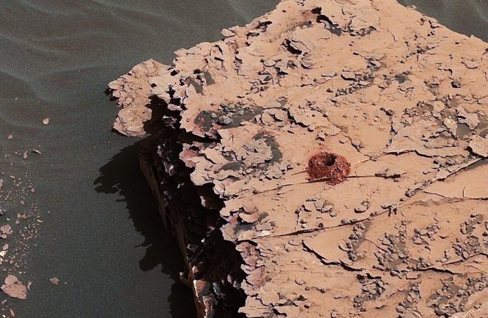 Building Blocks of Life Found on Mars