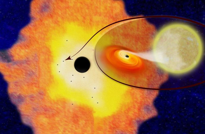 Vast Black Hole Swarm May Surround Milky Way’s Heart