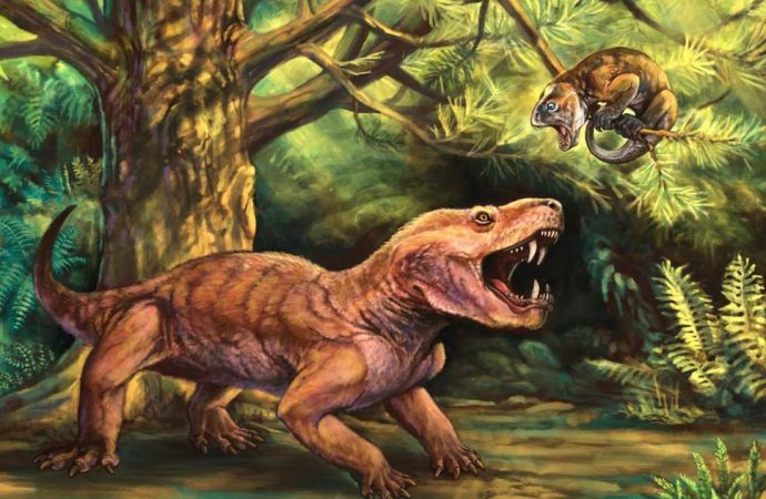 ‘Monstrous’ new sabre-toothed fossils from Russia reveal early evolution of mammals