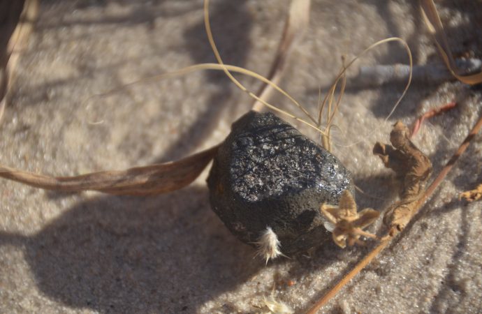 Fragment of impacting asteroid recovered in Botswana