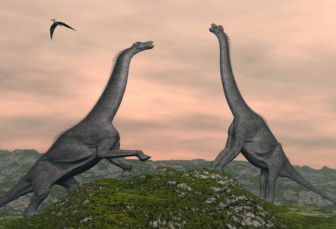 Scientists May Have Wildly Underestimated the Giant Dinosaurs of the Ancient World