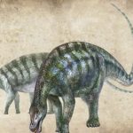 ‘Amazing dragon’: New dinosaur species discovered in China