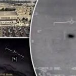 Former Pentagon official calls for big UFO reveal after secret investigation