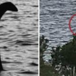 Schoolgirl’s Photo Of The Loch Ness Monster Hailed as ‘Best in Years’