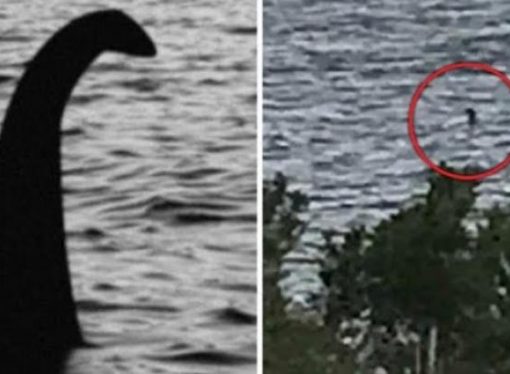 Schoolgirl’s Photo Of The Loch Ness Monster Hailed as ‘Best in Years’