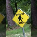 Bigfoot spotted crossing rural New York highway