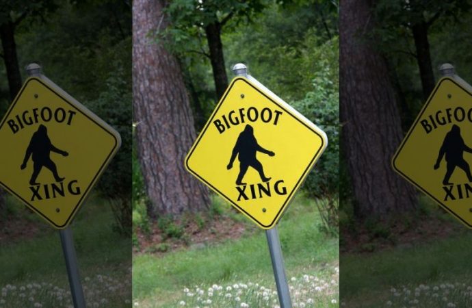 Bigfoot spotted crossing rural New York highway