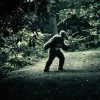 How to Hunt for Bigfoot in Washington State
