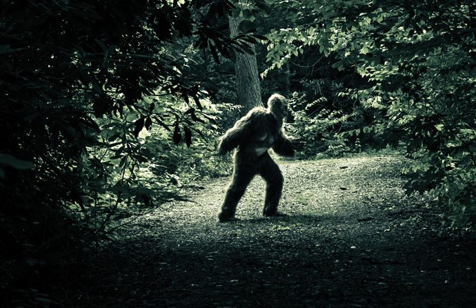 How to Hunt for Bigfoot in Washington State