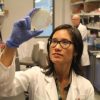 New means to fight ‘un-killable’ bacteria in healthcare settings