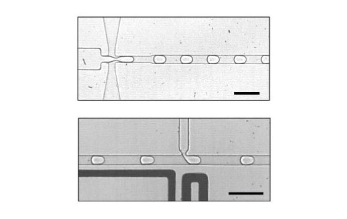 Scientists Are On The Path To Making An Artificial Cell