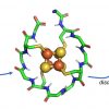 Scientists identify protein that may have existed when life began