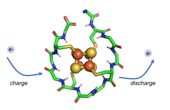 Scientists identify protein that may have existed when life began