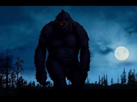 2 BIGFOOT SIGHTINGS IN ONE NIGHT ON JULY 5TH 2018!!