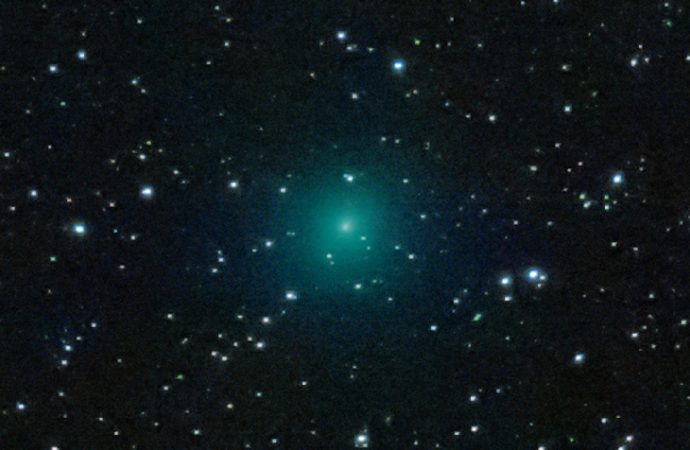 COMING SOON, THE COMET OF THE YEAR