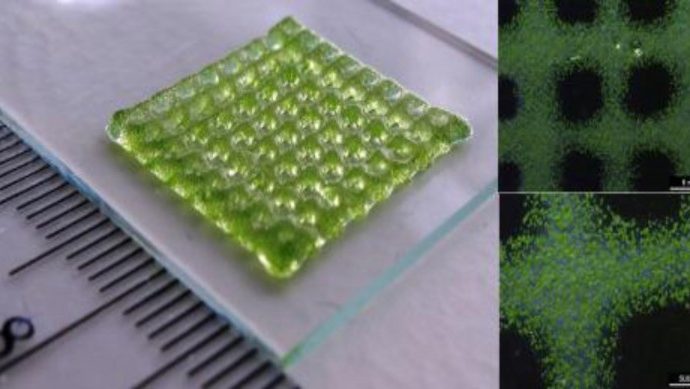 New 3D Bioprinting Method Allows Non-Invasive Monitoring of Oxygen Levels in Cells