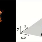 The early universe was a fluid quark-gluon plasma