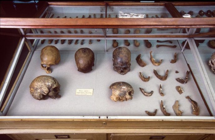 DNA of world’s oldest natural mummy unlocks secrets of Ice Age tribes in the Americas