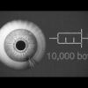 Watch tiny robots swim through an eyeball to deliver medicine