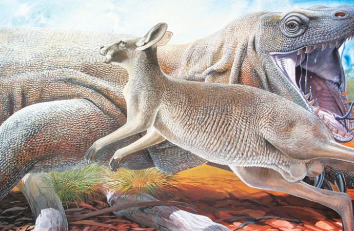 ‘End of the Megafauna’ examines why so many giant Ice Age animals went extinct