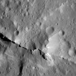 Evidence for carbon-rich surface on Ceres