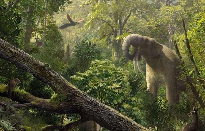 Giant flying squirrel fossil from a Barcelona landfill clarifies the squirrel family tree
