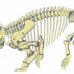 Gigantic mammal ‘cousin’ discovered