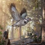 ‘Messy’ New Species of Dinosaur-Era Bird Discovered