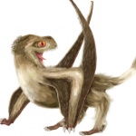 Pterosaurs Sported Feathers, Claim Scientists