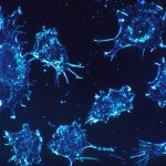 A cure for cancer? Israeli scientists say they think they found one