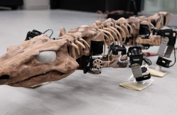 A four-legged robot hints at how ancient tetrapods walked