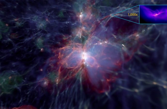 Birth of massive black holes in the early universe revealed